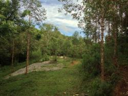 #41 - Chácara para Venda em Curitiba - PR - 3