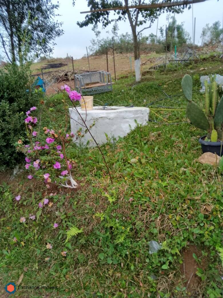Chácara à venda com 5 quartos, 10700m² - Foto 11