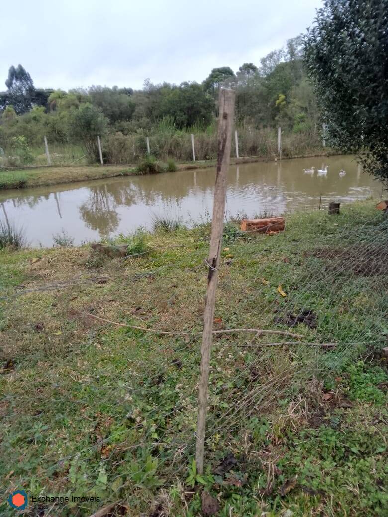Chácara à venda com 5 quartos, 10700m² - Foto 13