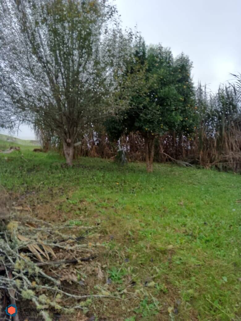 Chácara à venda com 5 quartos, 10700m² - Foto 19