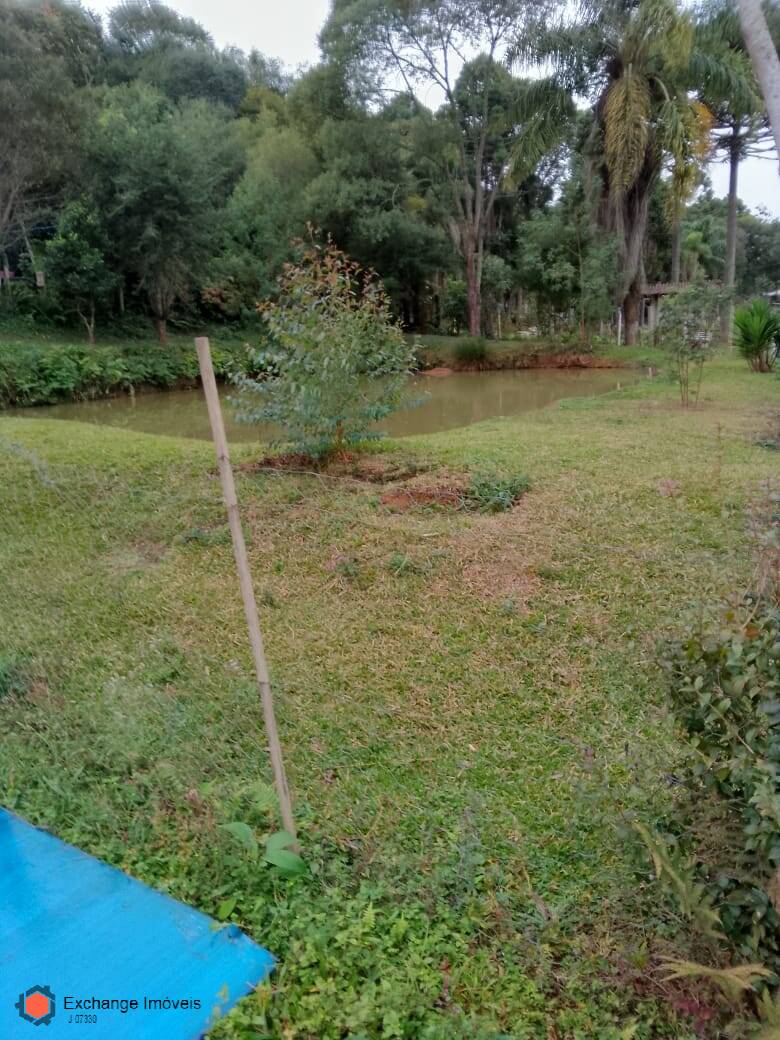Chácara à venda com 5 quartos, 10700m² - Foto 24
