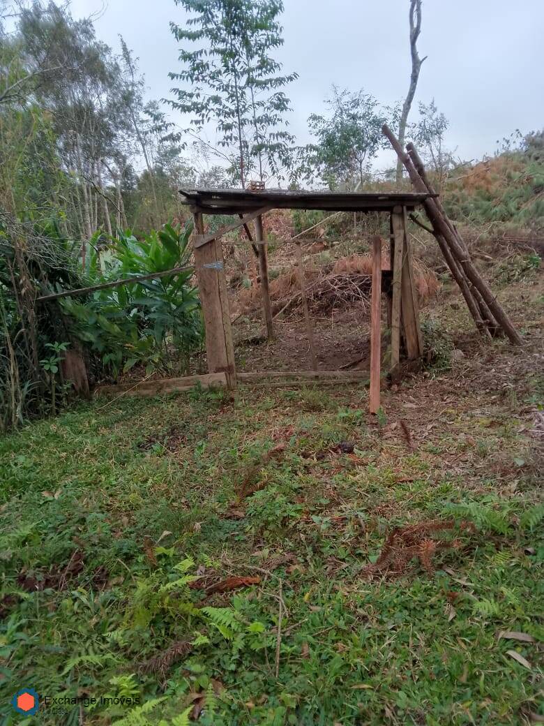 Chácara à venda com 5 quartos, 10700m² - Foto 27