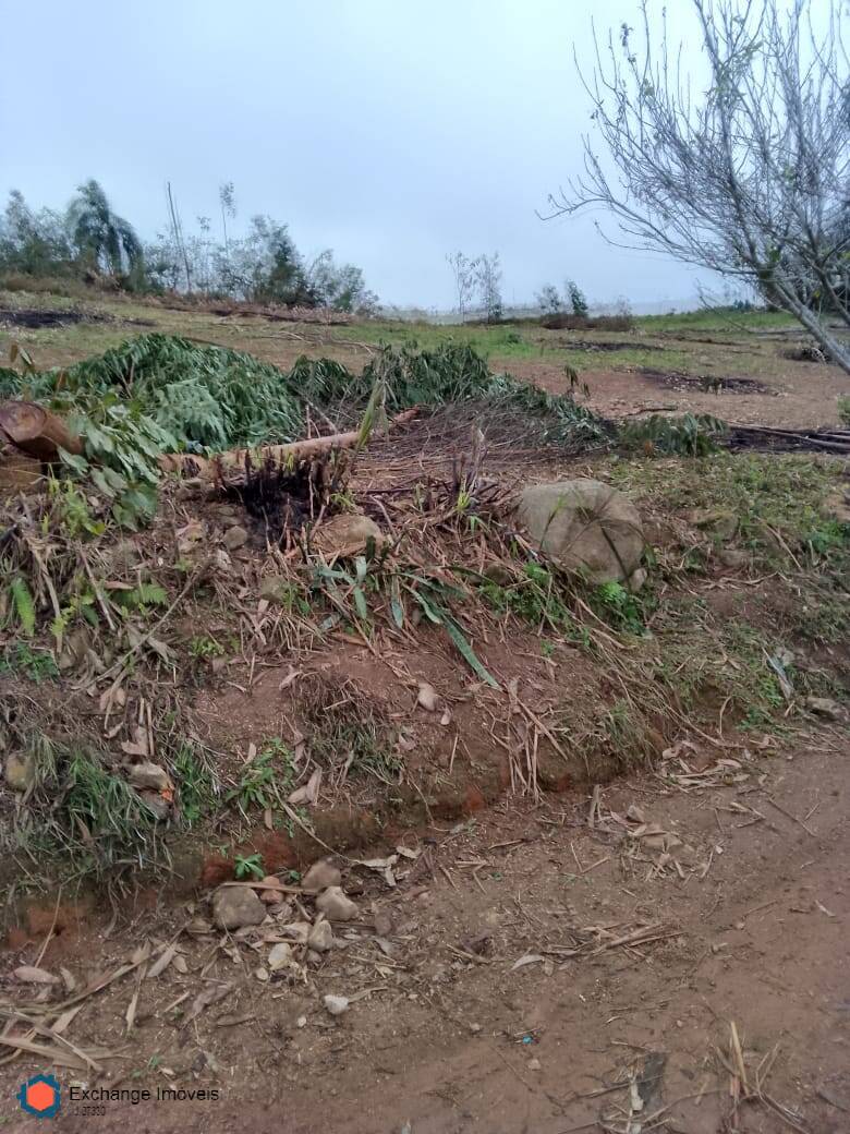 Chácara à venda com 5 quartos, 10700m² - Foto 34