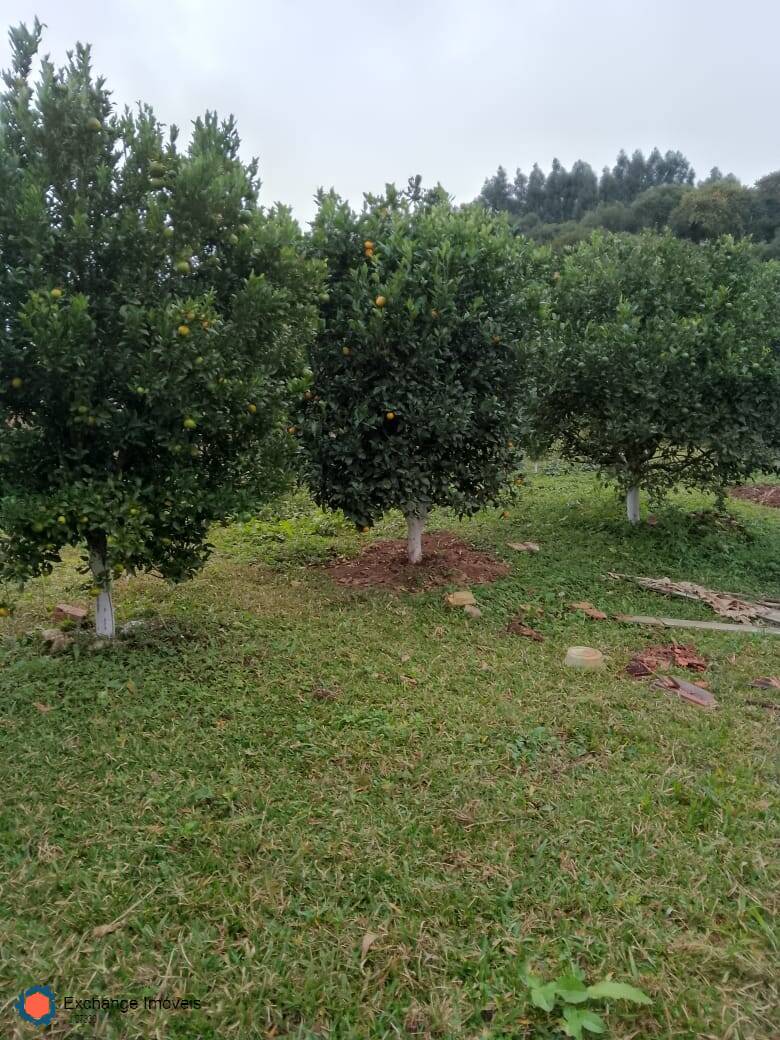 Chácara à venda com 5 quartos, 10700m² - Foto 33